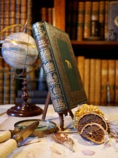 Pensées à moi-même, Marc