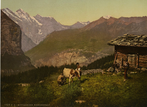 Berner oberland mittaghorn - berner,