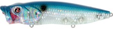 River2Sea Bubble Walker 80