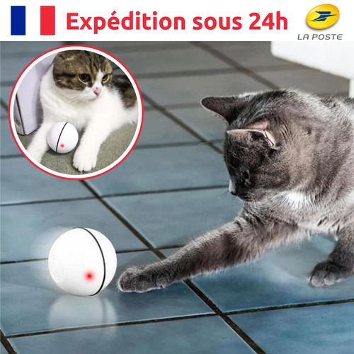 Jouet interactif intelligent - jouet,