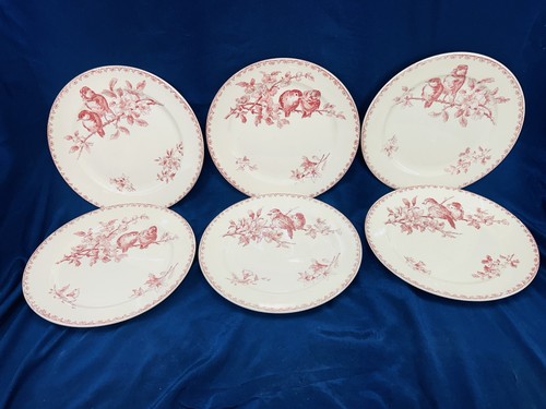 Belles assiettes plates - belles,