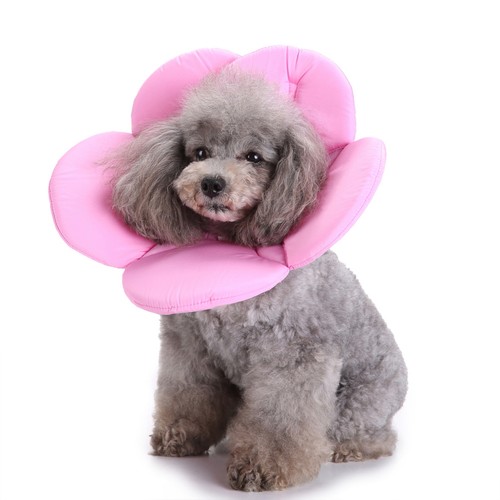 Collerette souple chien - ,
