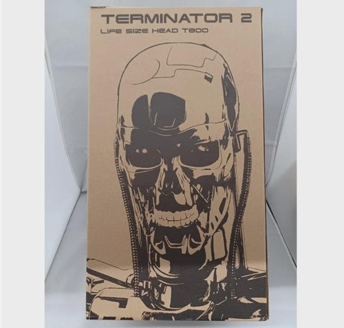 Terminator 800 échelle - terminator, t-800
