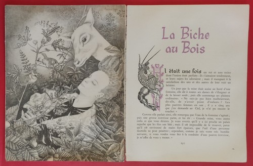 Conte biche bois de - au,