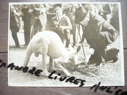 Photographie originale 1947 - photographie,