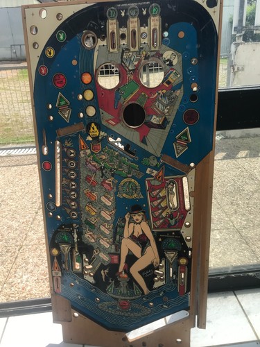 Playfield pinball playboy - playfield,