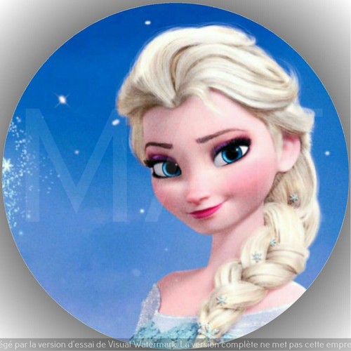 Reine des neiges - reine,