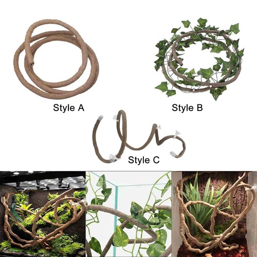 Vignes reptiles pour - vignes, décor