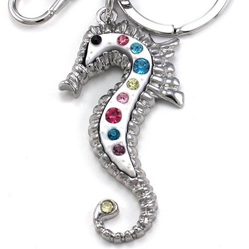 White seahorse sea lover - seahorse,