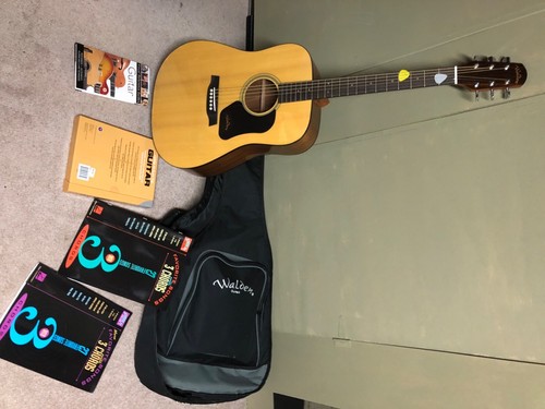 Walden acoustic guitar - walden,