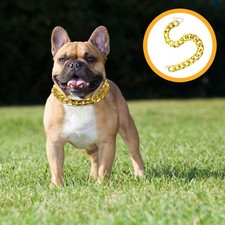  Accessoires Chien Collier