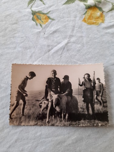 Carte postale colonie - carte,
