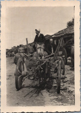 Yougoslavie (Kosovo), Gjakovë, Đakovica, Garçon dans une charrette, Tirage vinta