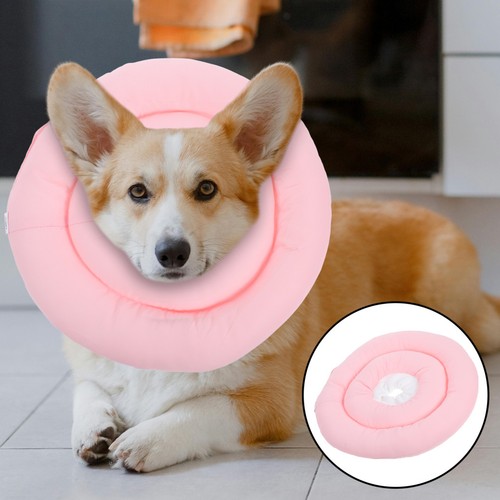 Collier collerette chien - collier,