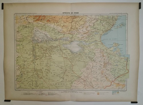 Bergelin afrique du nord - afrique,