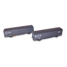 2 Wagons EVS Hs À Toit Bas  -