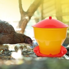  Mangeoire Automatique Poulet