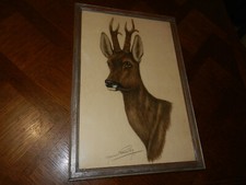 EO Fusain aquarelle chevreuil brocard vénerie chasse Maurice Brailly 