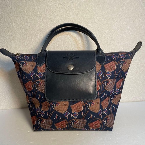 Longchamp rare pattern - longchamp,