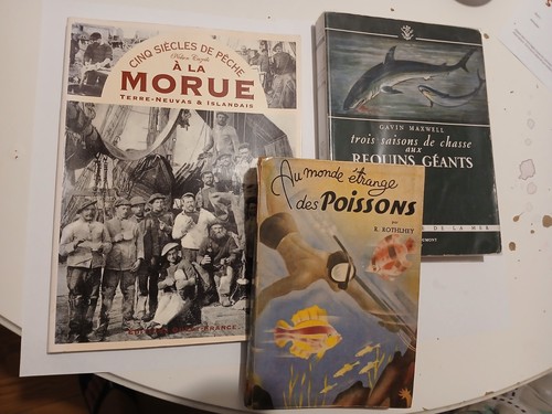 Lot livres pêche - en, mer”