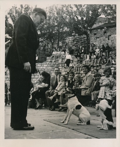 Cirque montmartre 1952 - montmartre,