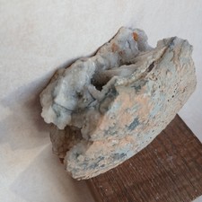  Ammonite, Saône Et Loire, France