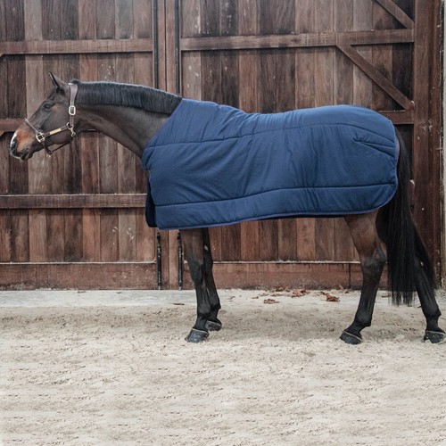 Kentucky horsewear - kentucky,