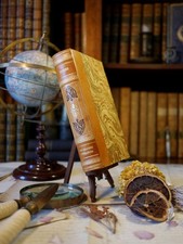 Les grandes espérances