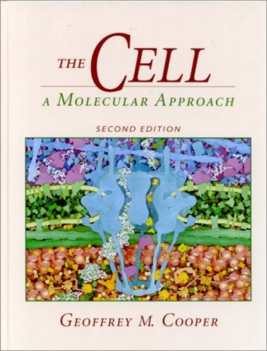 Cellule une approche - une,