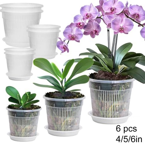 Pack pots orchid - 6,