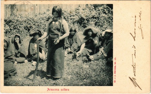 Argentina araucana - pc,