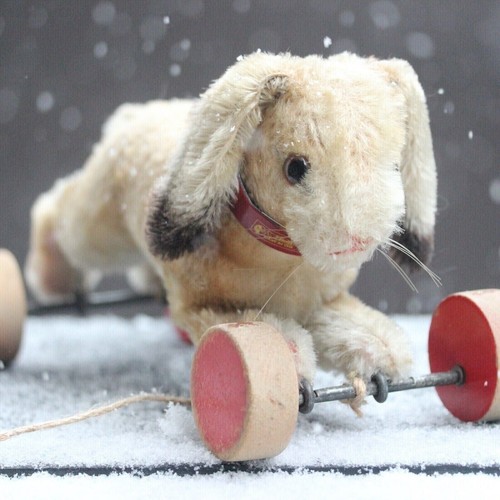 Lapin steiff antique sur - steiff,