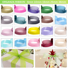 Ruban Organza Tissé Bord - 20