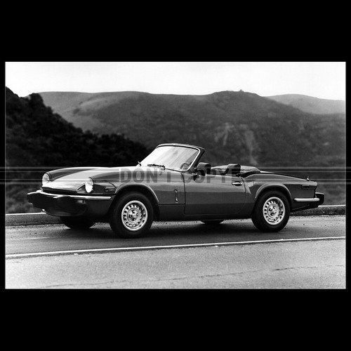 Photo 007635 triumph - photo,
