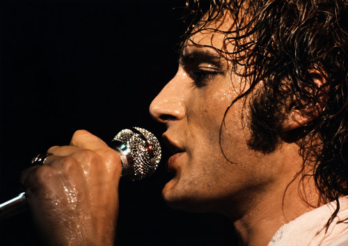 Photo johnny hallyday - hallyday, gros