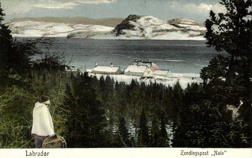 Canada labrador - canada,,