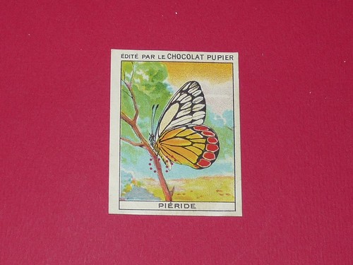 Chromo pupier 1930 - chromo,