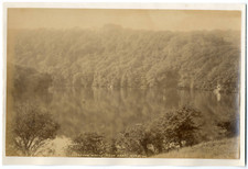 England, Sharpham woods, river Dart Vintage albumen print,  Tirage albuminé 