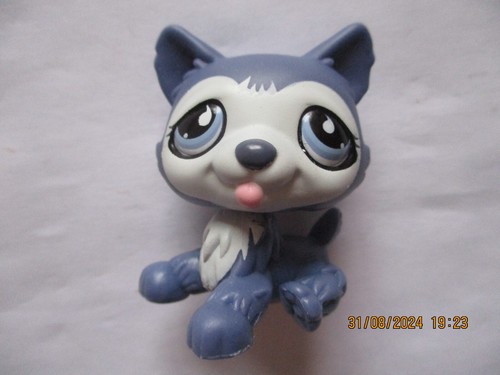 Petshop chien husky 1217 - petshop, n°1217