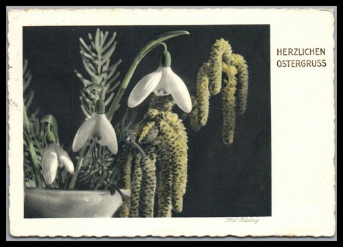 Carte postale vœux - carte, de