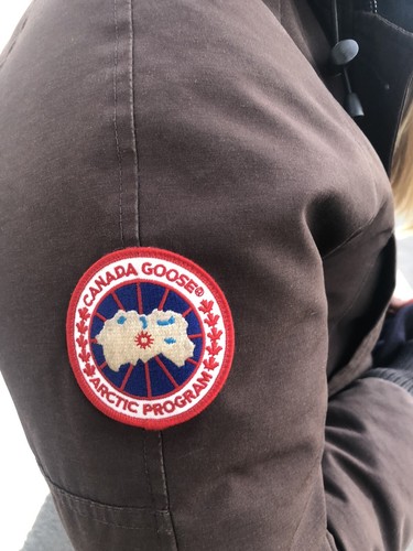 Veste canada goose chilliwack - goose,