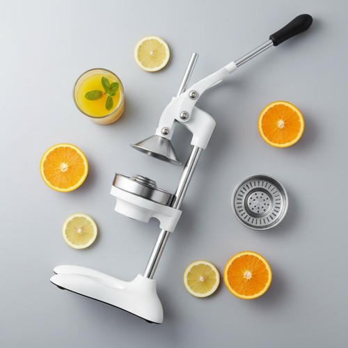 Presse fruits manuel levier - presse-fruits,