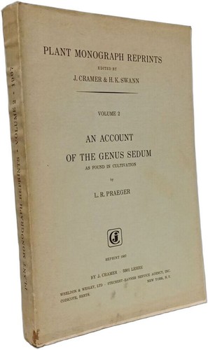 Account the genus - genus, sedum