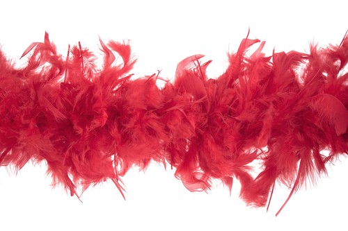 Boa plumes marabout 1 8 - plumes, de