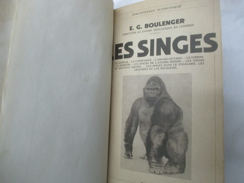 Boulenge les singes - boulenge, "les