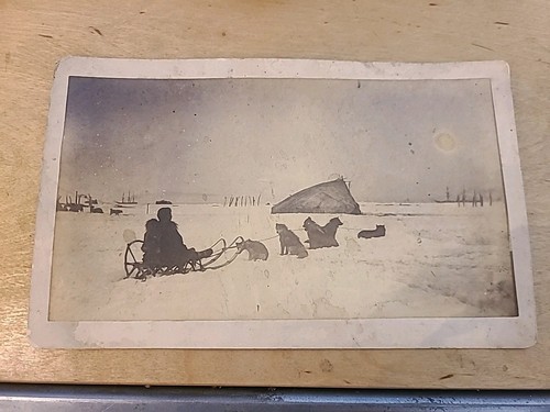 Dog sled vintage photograph - dog,