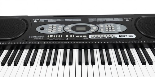 Clavier arrangeur edenwood - arrangeur,