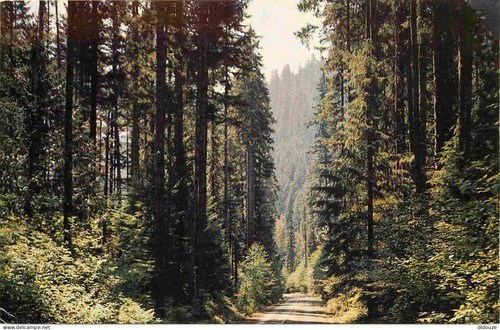 Carte postale etats unis - -,