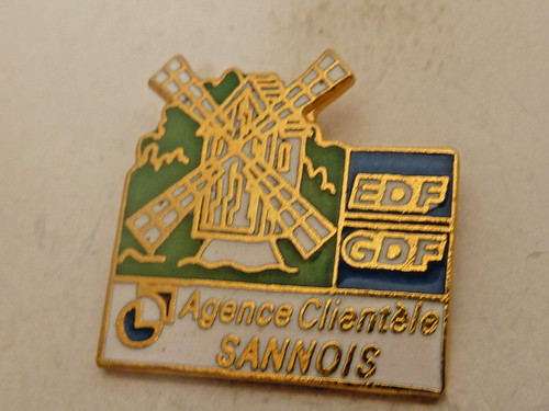Pin badge - pin, edf