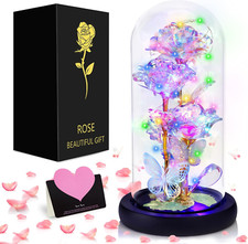 ZLPBAO Rose Eternelle Sous Cloche Avec LED Lumières, La Belle Et La Bête, Rose F